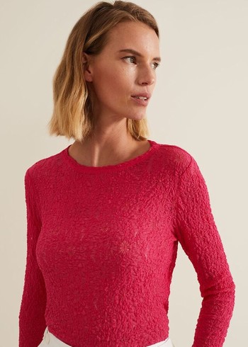 Phase Eight Lainey Lace T Shirts Pink Canada | RKCSJN-864